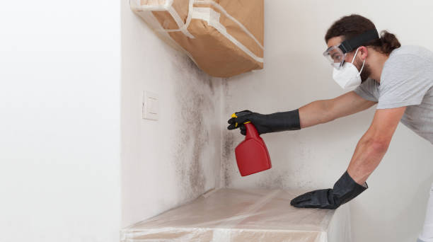 Professional Crawl Space Mold Removal technician working in Whitakers, NC