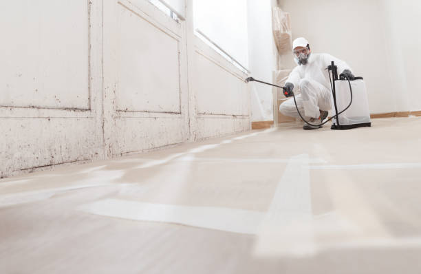 Trusted Crawl Space Mold Removal service in Whitakers, NC - WQB Mold Removal