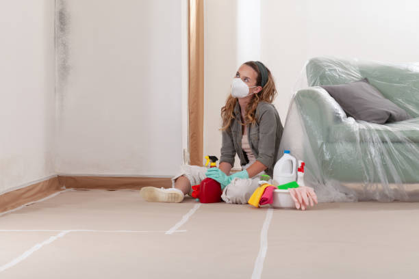 Reliable Crawl Space Mold Removal contractor in Whitakers, NC by WQB Mold Removal